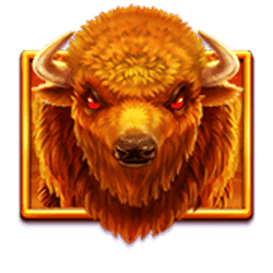 Symbol 1 Charge Buffalo