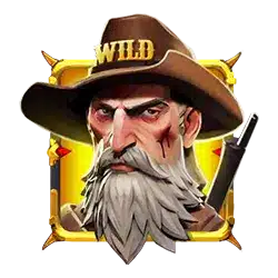 Wild символы