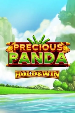 Играть в Precious Panda: Hold & Win онлайн бесплатно