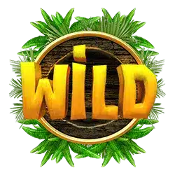 Wild символ