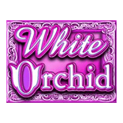 Wild Symbol of White Orchid Slot