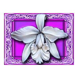 Scatter of White Orchid Slot