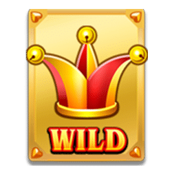 Wild Symbol of Wild Ace Slot