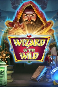 Играть в Wizard of the Wild онлайн бесплатно