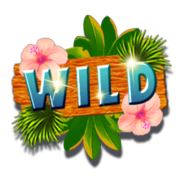 Wild-символ игрового автомата Beach Tennis