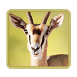 Icon 5 Safari Wilds