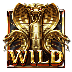 Wild Symbol of Tomb of Gold Slot
