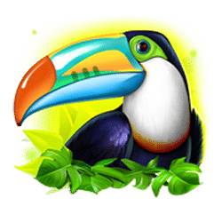 Scatter of Toucan Wild Slot