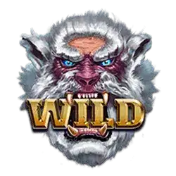 Символ Wild