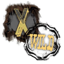 Wild Symbol of 2 Wild 2 Die Slot