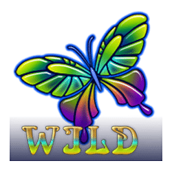 Beauty Fairy Pokies Wild Symbol