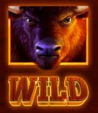 Символ WILD