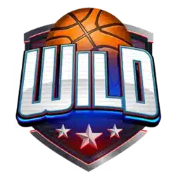 Символ Wild