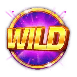 Wild символ
