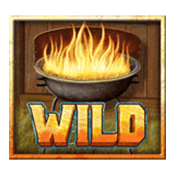 Wild-символ игрового автомата Land of the Free