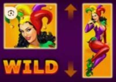 Символ WILD