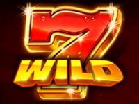 Символ WILD