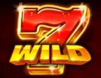 Символ WILD