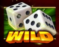 Символ WILD