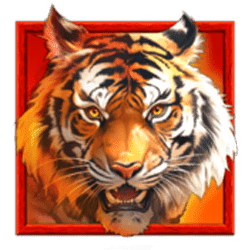 Icon 1 Tiger’s Luck