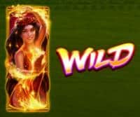 Символ WILD