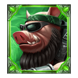 Symbol 5 Wild Hogs