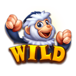 Wild Symbol of Forfune Monkey Slot