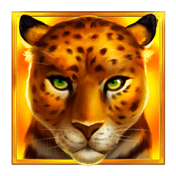 Icon 2 Jaguar Treasures