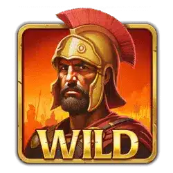 Символ Wild