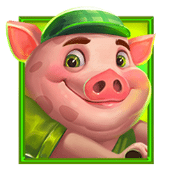 Icon 5 PigsVille
