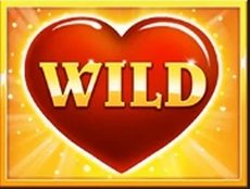 Wild символ