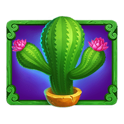 Symbol 1 Cactus Riches: Cash Pool