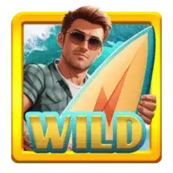 Wild символ
