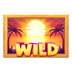 Wild-символ игрового автомата Pelican’s Bay: Rapid Link