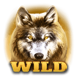 Wild Symbol of Wolf Fang – Golden Sands Slot