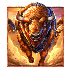 Symbol 1 5 Wild Buffalo