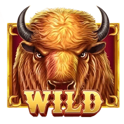 Wild Symbol of Great Buffalo Hold’n Win Slot