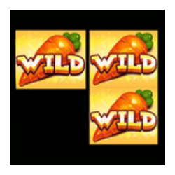 Wild-символ игрового автомата Rabbit Fields