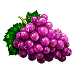 Icon 4 20 Hot Super Fruits