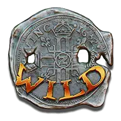 Wild символ
