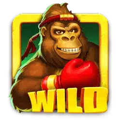 Символ wild