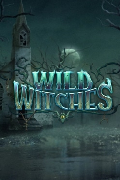 Играть в Wild Witches онлайн бесплатно