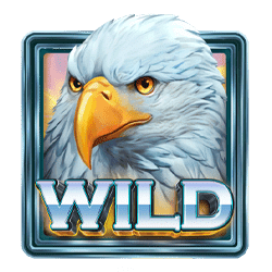 Wild Symbol of American Wonder Reels Slot