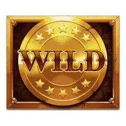 Символ Wild