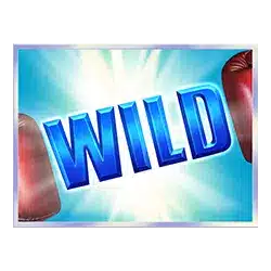 Wild символ