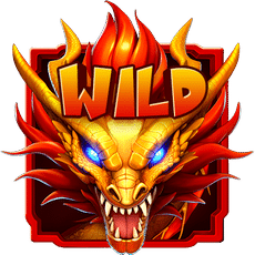 Wild символ