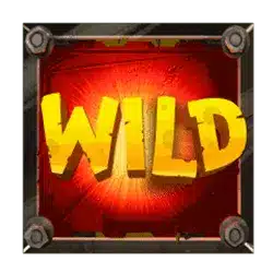 Символ Wild