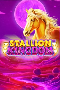 Stallion Kingdom Free Play in Demo Mode