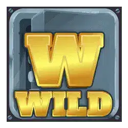 Символ Wild