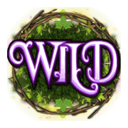 Wild-символ игрового автомата Pixies of the Forest